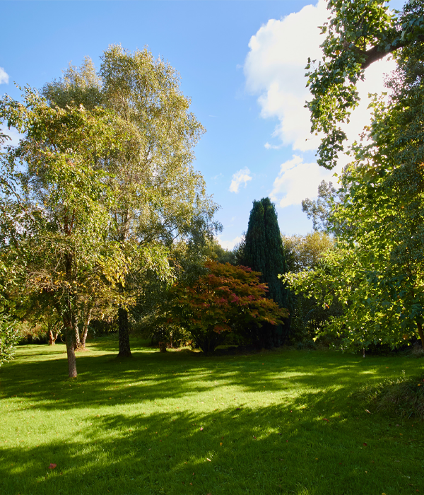 View of lush gardens and trees with blue sky in the background.